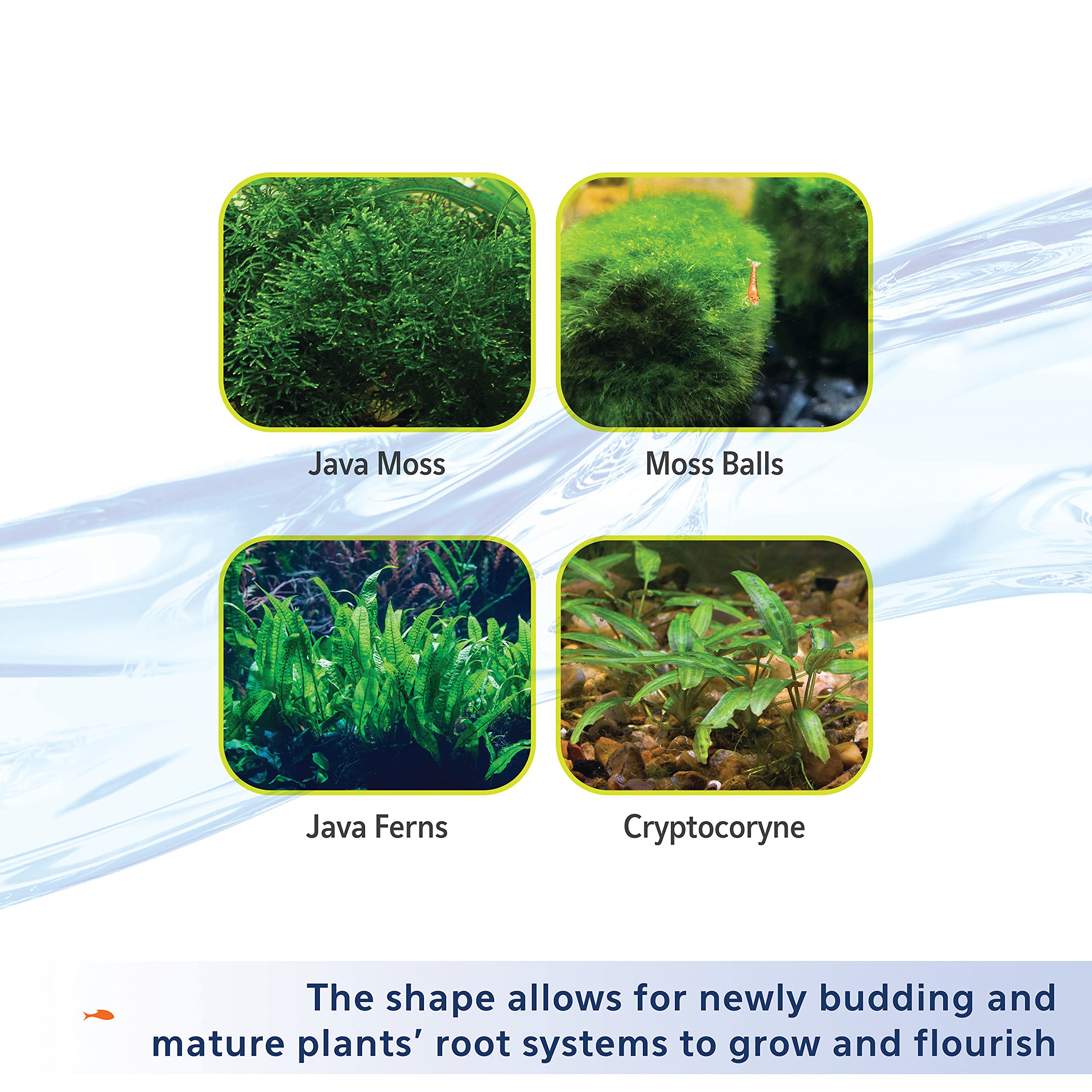 Aqueon Plant and Shrimp Aquarium Substrate, Aqua Soil for Fish Tanks, 5 Pounds - Image 5