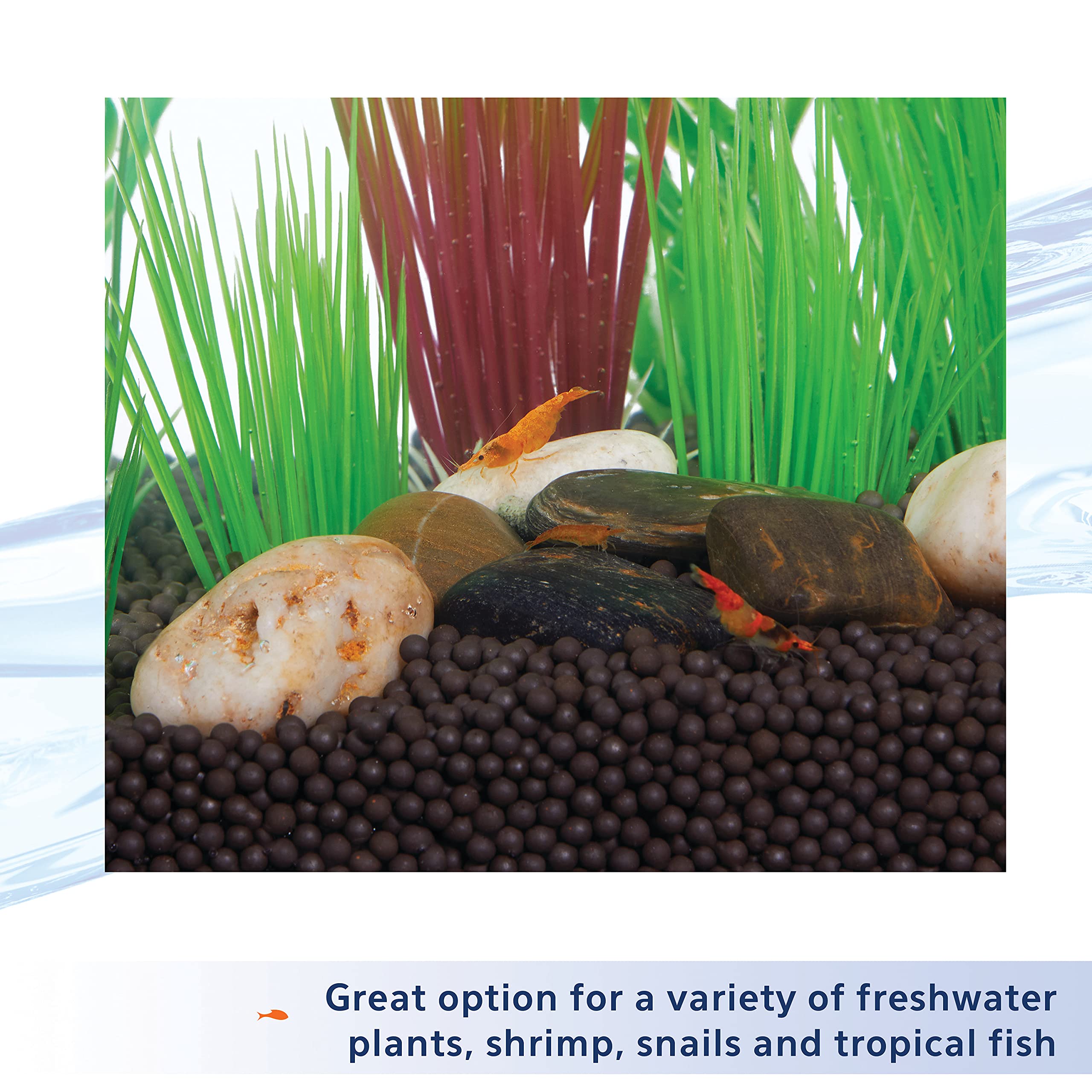 Aqueon Plant and Shrimp Aquarium Substrate, Aqua Soil for Fish Tanks, 5 Pounds - Image 6