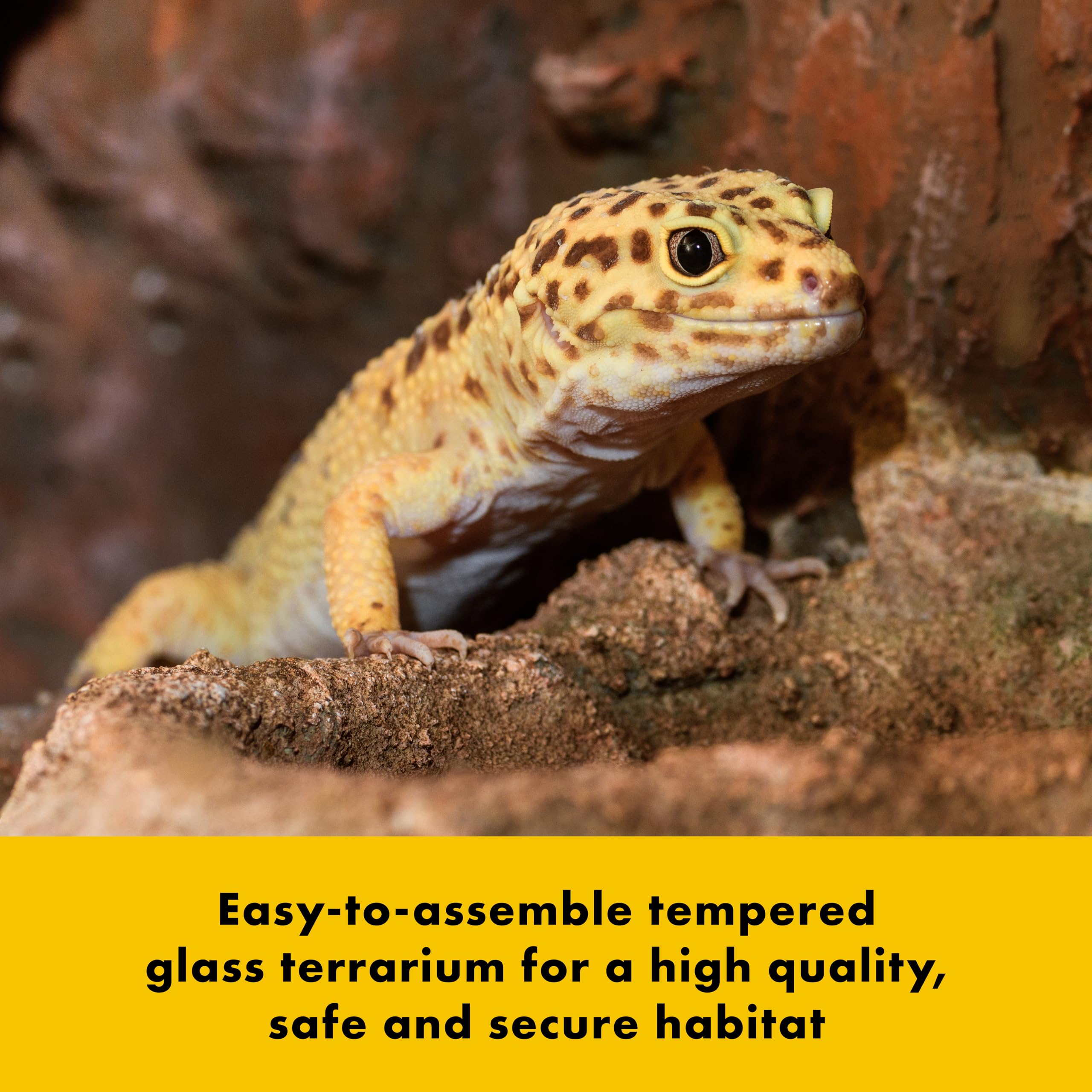 Zilla QuickBuild Reptile 10 Gallon Glass Terrarium Habitat with Bedding Tray For Geckos, Snakes, Lizards, Frogs, Turtles, and Tortoises, 20" x 12" x 10" - Image 4