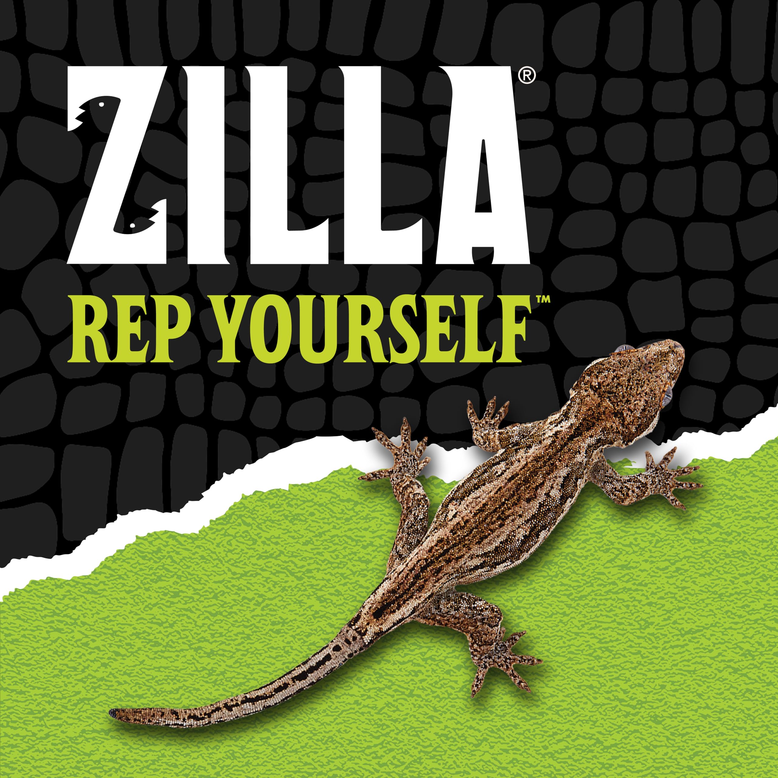Zilla QuickBuild Reptile 10 Gallon Glass Terrarium Habitat with Bedding Tray For Geckos, Snakes, Lizards, Frogs, Turtles, and Tortoises, 20" x 12" x 10" - Image 7
