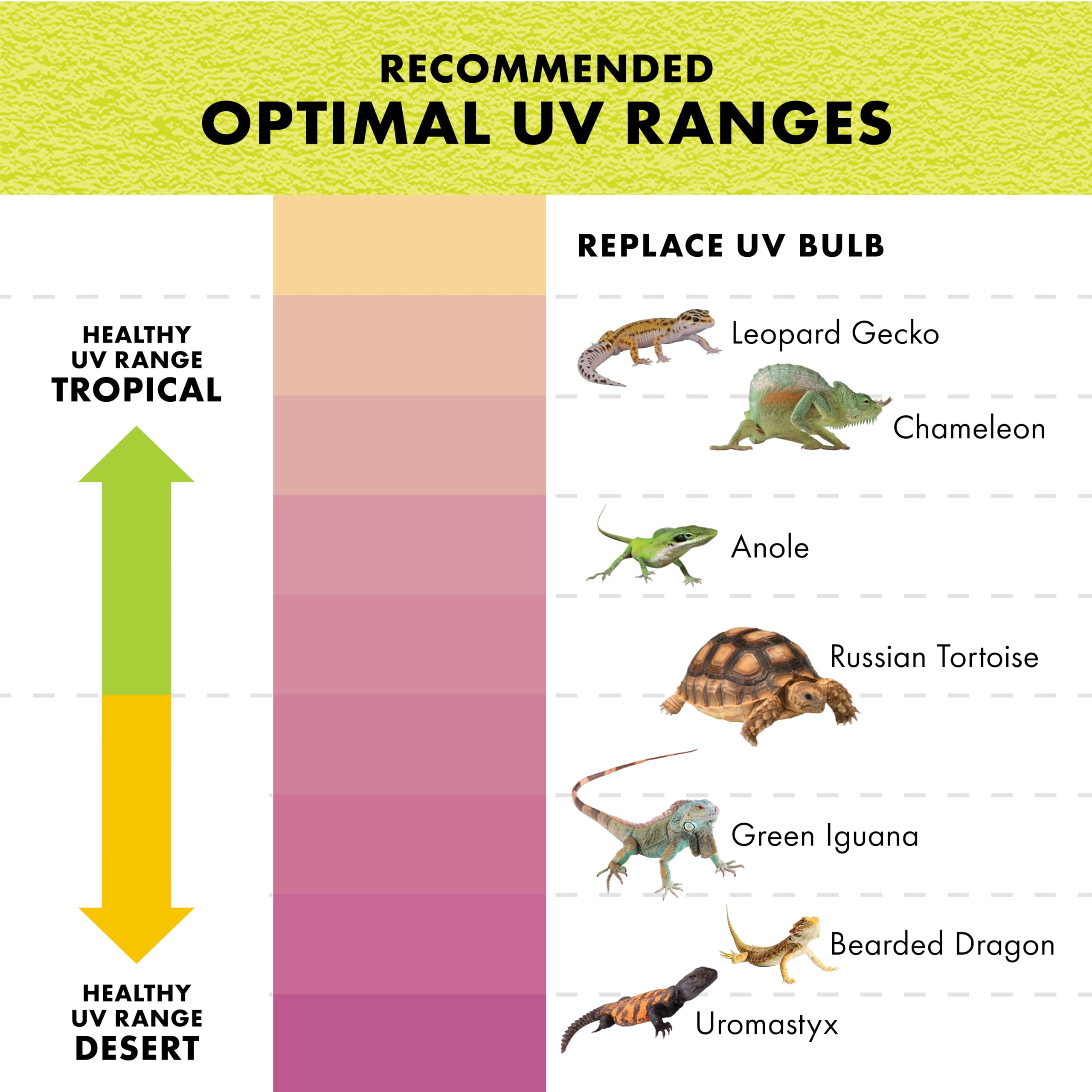Zilla Rapid Sense UV Detecting Pet Reptile Terrarium Décor, Detects UVB Levels, Poplar Log, Medium - Image 6